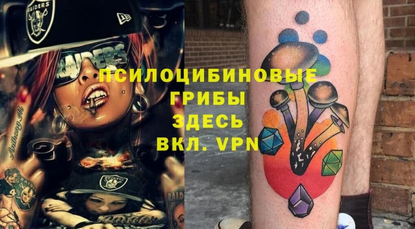 твердый Михайлов