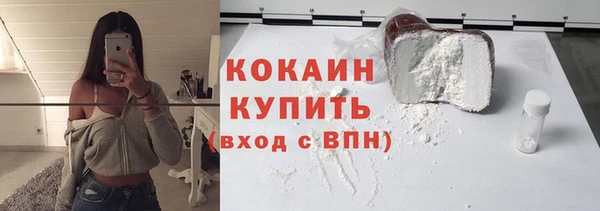 твердый Михайлов