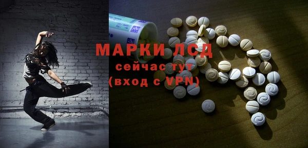 твердый Михайлов